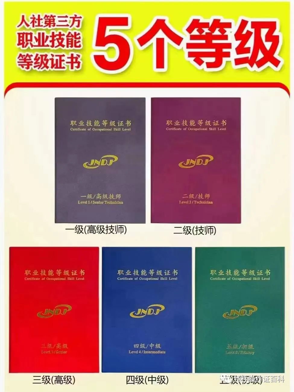 人社电工等级证.jpg